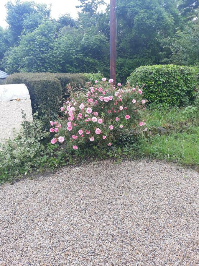 Katie'S Cottage Cashel  Bagian luar foto